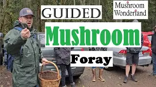 Guided Mushroom Foray with a group of Beginners