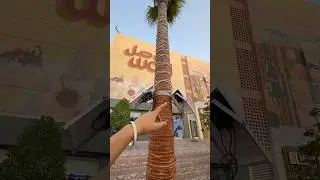 New  innovation from Dubai .#dubai #technology #innovation #newthing #information #foryou