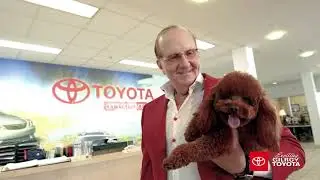 Buy A Car From A Dealership You Can Trust | Gilroy Toyota