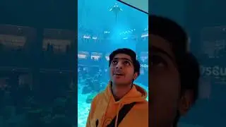dubai visa update today #dubai #burjkhalifa