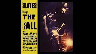 The Fall - Fantastic Life