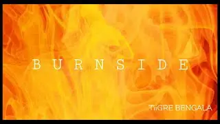 Tiigre Bengala - Burnside (Ay como quemas mami)
