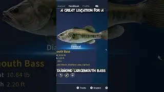 A Great Location To Catch A Diamond Largemouth Bass #gaming #fishing #callofthewildgameplay #cotw