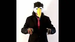 Schrille V&ouml;gel fliegen tief Teaser 01