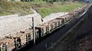 CP carga em Caxarias