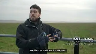 ONE ESTUARY - WELSH