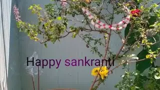 ರುಚಿಯಾದ ಸಂಕ್ರಾಂತಿ ಹಬ್ಬದ ಸಿಹಿ ಪೊಂಗಲ್/Sankranti special sweet pongal recipe 2026