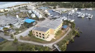 Studying Climate Change and Mangroves with the UF Whitney Marine Lab