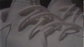 the brand with the 3 stripes