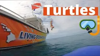 Relaxing Morning on the Water | LIVING OCEAN | OAHU