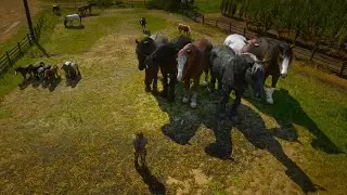 Arthur Morgan's Breton Rodeo: Arthur Morgan Tames All Breton Horse at Saint Denis Horse