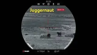 185 Berger juggernaut 308 win