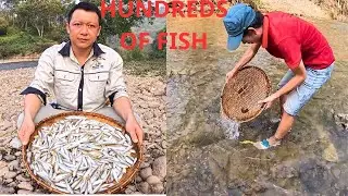 They Still Catch Fish Like This?! | Bamboo Trap Challenge in a Wild Mountain Stream