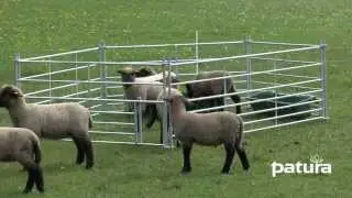 PATURA Hurdle with Adjustable Lamb Creep