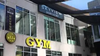 Outdoor Business Signs   Skyview