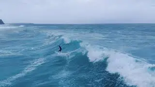 Nature pixels 8k video