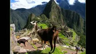 Walisuma De Los Andes  