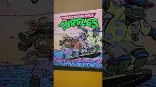 Mail Call NECA TMNT Bodacious Beach Bros Set Surfin Teenage Mutant Ninja Turtles & Surfs Up Chucky