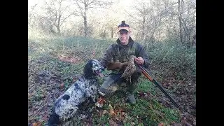 Mi primera becada. Caza de becadas en Galicia.