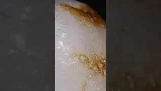 Glue stick vs fire | Macro #satisfying #macro #asmr #asmreating #closeup #zoom #experiment