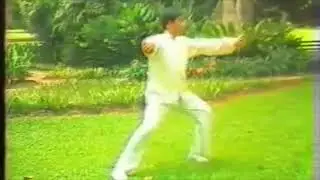 Zhu Tian Cai - Tai Chi style Chen Laojia Yilu (1984) [陈氏太极拳老架 Taijiquan style Chen]