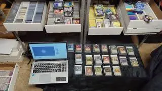 I Made 6 Different Bulk Card Lots + A Spreadsheet that just tells me how much all my cards are worth