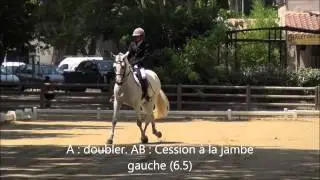 MCI 2015 RLM Carmencita