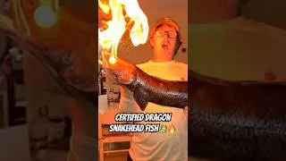 he caught a dragon snakehead #snakehead#dragon#fishing#fishingshorts#aishorts🐉
