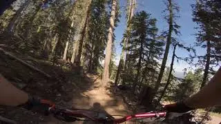 Angel Fire Mountain Bike Park Ziggy Trail (uncut)