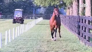 Hip # 689 - O'Brien Hall