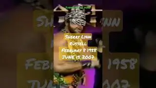 Randy Savage Meme Origin Promo Better Then The Best Retro WWE footage