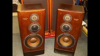 Diatone DS-V3000