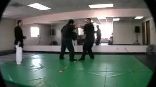 Master Scott Martin explaining the logic in defending against multiple attackers