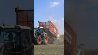 Mais Silage | Claas Jaguar 950 + Fendt | Schimmel