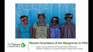 Perspectives:Asia | Mangoro market meri: Women guardians of the mangroves in PNG