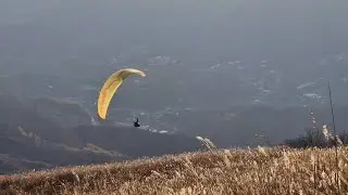 유명산 억새꽃 비행 Flying over a silver grass field, feeling regretful for coming a little too late