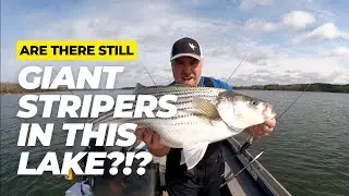 Fishing for Striped Bass in an underwater forest!