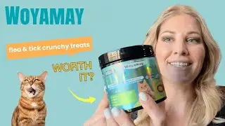 Woyamay Review: Cat Owners Swear By This Crunchy Flea Treat!