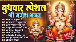 बुधवार स्पेशल : ॐ गं गणपतये नमो नमः, वक्रतुंड महाकाय, सुखकर्ता दुखहर्ता, गणेश अमृतवाणी व आरती