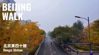 Beijing Walk｜Autumn Walk from Dongsi Shitiao to Dongsi 13th Hutong | 北京秋天散步：東四十條, 南新倉周邊胡同｜ 4K