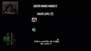 Super Mario Maker 2 : Kaizo Level