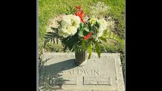 @jenniferchase6348 True Stories Well Told ENC 1102 Module 2 The Price of the Ticket James Baldwin