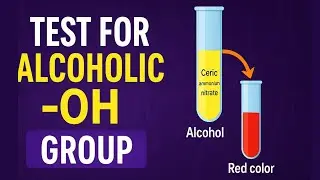 🔬 Alcoholic &ndash;OH Group Test | Ceric Ammonium Nitrate Test | Animated Explanation