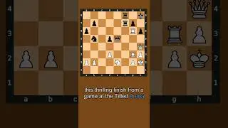 Rook Sacrifice Leads to a Stunning Queen Checkmate! ♟️🔥👑 #shorts #chess #puzzle
