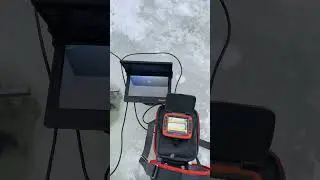 Зимний вариант PAL! Электронные девайсы для рыбалки