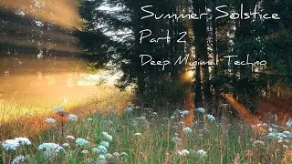 Liquid Fraction - Summer Solstice - Deep Minimal Techno Mix - Part 2 - July 2020.