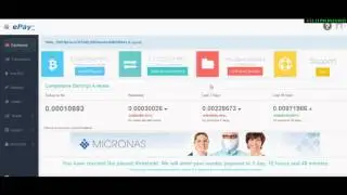 HEX HASH майнинг