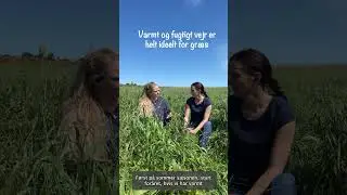 Sandra & Maria i marken #4 - N&aelig;ringen i gr&aelig;sset falder ...