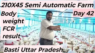 Automatic poultry || Environment Controlled Poultry Shed || Price of Automatic Poultry BASTI