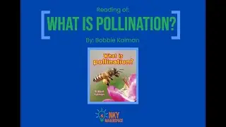 What is Pollination?
